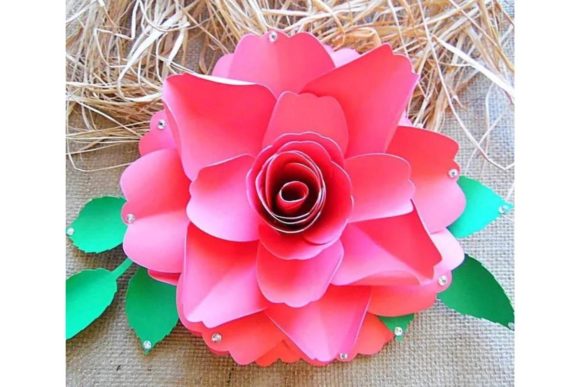 Scarlett Giant Paper Flower Templates: 3D SVG Review